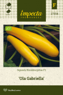 Squash F1 'Ola Gabriella'