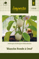 Aubergine 'Blanche Ronde Á Oeuf'