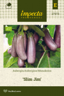 Aubergine 'Slim Jim'