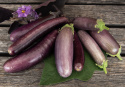 Aubergine 'Slim Jim'