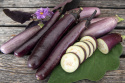 Aubergine 'Slim Jim'