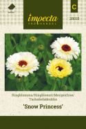 Morgenfrue 'Snow Princess'