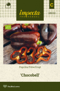 Peberfrugt 'Chocobell'