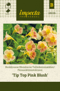 Blomsterkarse 'Tip Top Pink Blush'