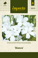 Klinte 'Bianca'