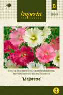 Havestokrose  'Majorette'