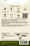 Sommerasters 'Amerikansk Busk'