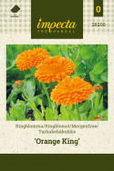 Morgenfrue 'Orange King'