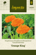 Morgenfrue 'Orange King'
