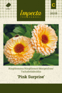 Morgenfrue 'Pink Surprise'