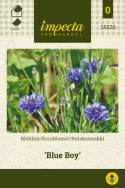 Kornblomst 'Blue Boy'