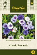 Kornblomst 'Classic Fantastic'