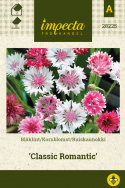 Kornblomst 'Classic Romantic'