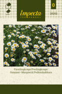 Sommer-Marguerit