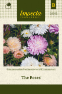 Sommerasters 'The Roses'