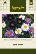 Sommerasters 'The Blues'