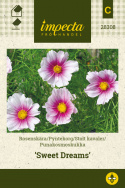 Stolt kavaler 'Sweet Dreams'