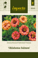 Frøkenhat 'Oklahoma Salmon'