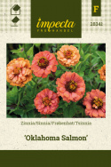 Frøkenhat 'Oklahoma Salmon'