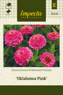 Frøkenhat 'Oklahoma Pink'