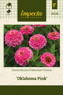 Frøkenhat 'Oklahoma Pink'