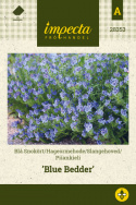 Slangehoved 'Blue Bedder'