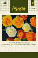 Californisk Guldvalmue
