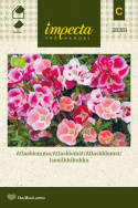 Atlaskblomst