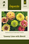 Frøkenhat 'Queeny Lime with Blotch'