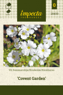 Brudeslør 'Covent Garden'