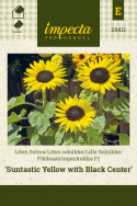 Lille Solsikke F1 'Suntastic Yellow with Black Center'