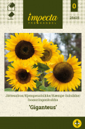 Kæmpe Solsikke 'Giganteus'