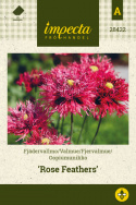 Fjervalmue 'Rose Feathers'