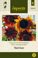Rød Solsikke 'Red Sun'