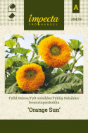 Solsikke 'Orange Sun'