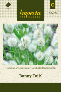 Harehale 'Bunny Tails'