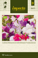Ærteblomst