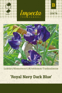 Ærteblomst 'Royal Navy Dark Blue'