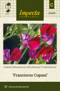 Ærteblomst 'Franciscus Cupani'