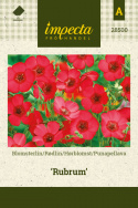 Hørblomst 'Rubrum'