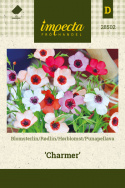 Hørblomst 'Charmer'