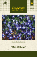 Kantlobelia 'Mrs. Clibran'