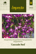 Hængelobelia 'Cascade Red'
