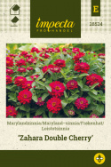 Frøkenhat 'Zahara Double Cherry'