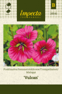 Trompetkatost 'Vulcan'