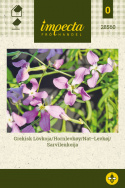 Nat-Levkøj
