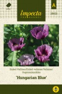 Enkelt valmue 'Hungarian Blue'