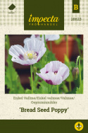 Enkelt valmue 'Bread Seed Poppy'