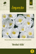 Kornvalmue 'Bridal Silk'