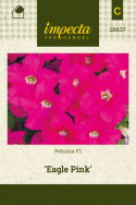 Petunia F1 'Eagle Pink'